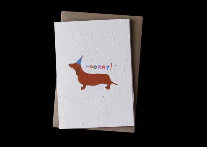 New Hello Petal Hooray! Plantable Card