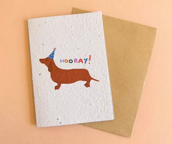 New Hello Petal Hooray! Plantable Card